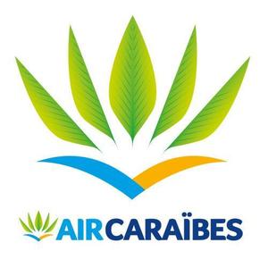 Les bénéfices d'Air Caraïbes s'envolent