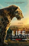 Netflix : la srie  La vie sur notre plante  produite par S.Spielberg est disponible