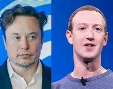 Bientt un combat en cage entre Elon Musk et Mark Zuckerberg ?