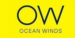 Ocean Winds, filiale d'Engie, remporte deux appels d'offres en Écosse