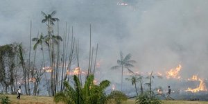 Deforestation de l'amazonie: les emissions du bresil en hausse de 9,6% en 2019