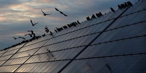 Edf veut batir 30 gw de capacites solaires en france en 15 ans