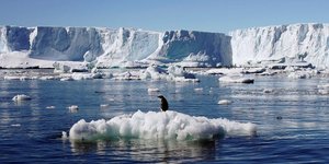 fonte des glaces, Antarctique, climat, rchauffement climatique
