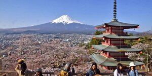 Japon, Fuji, cherry blossom, tourism