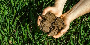 L'agriculture française contribue pour près d'un cinquième aux émissions de gaz à effet de serre (GES), selon l’Ademe.