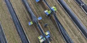 Paillage plastique agricole