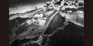 Salgado