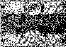 SULTANA_logo