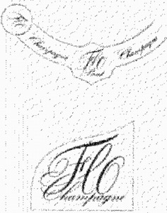 FMARK0000000001312107