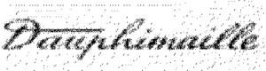 FMARK0000000001411127