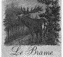 FMARK0000000001415992
