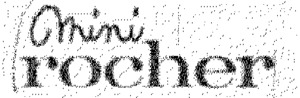 FMARK0000000001446118