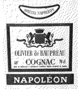 NAPOLEON OLIVIER DE BAUPREAU_logo