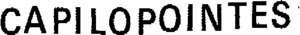 CAPILOPOINTES_logo
