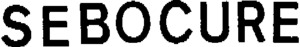 SEBOCURE_logo