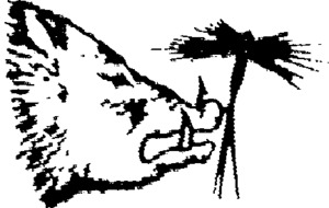 FMARK0000000001523518