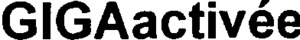 FMARK0000000003042831