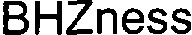 BHZNESS_logo