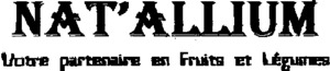 NATR ALLIUM VOTRE PARTENAIRE EN FRUITS ET LEGUMES_logo