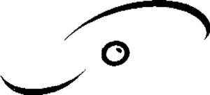 FMARK0000000003055663