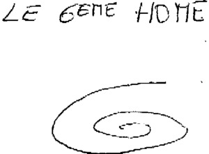FMARK0000000003125940