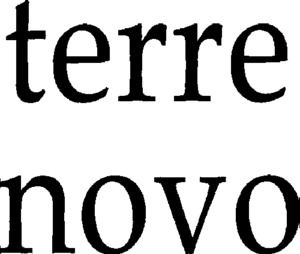 TERRE NOVO_logo