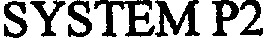 SYSTEM P2_logo