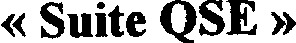 << SUITE QSE >>_logo