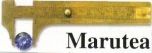 FMARK0000000003143160