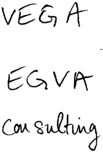 VEGA EGVA CONSULTING_logo