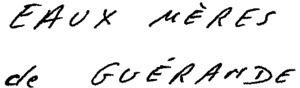 FMARK0000000003152410