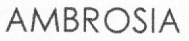 FMARK0000000003183054