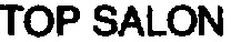 TOP SALON_logo