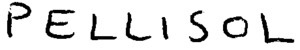 PELLISOL_logo