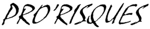 PRO'RISQUES_logo