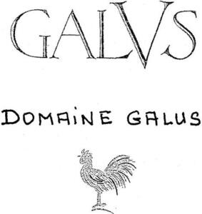 GALVS DOMAINE GALUS_logo