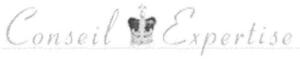 Conseil Expertise_logo