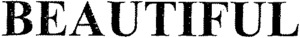BEAUTIFUL_logo