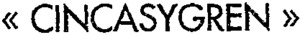 « CINCASYGREN »_logo