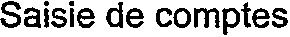 Saisie de comptes_logo