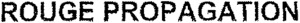 ROUGE PROPAGATION_logo