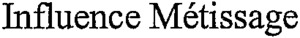 Influence Métissage_logo