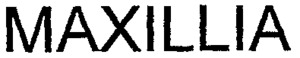 FMARK0000000003334000