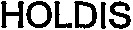 HOLDIS_logo