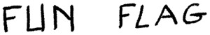 FUN FLAG_logo