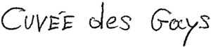 FMARK0000000003374964