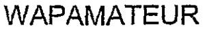 FMARK0000000003378542