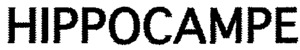 FMARK0000000003400644