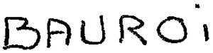 BAUROI_logo