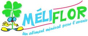 MELIFLOR UN ALIMENT MINERAL POUR L'AVENIR_logo